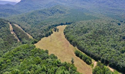 Photo of 148 Acres of Hunting and Recreational Land for Sale in Botetourt County VA!