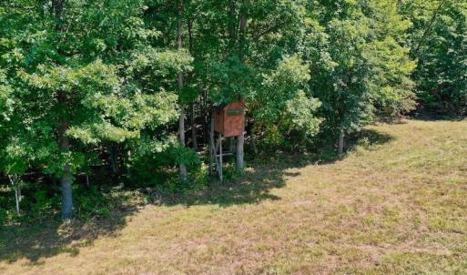 Photo of 148 Acres of Hunting and Recreational Land for Sale in Botetourt County VA!