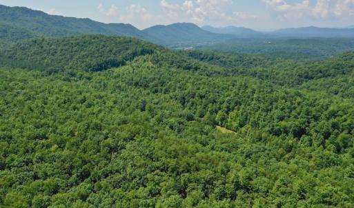Photo of 148 Acres of Hunting and Recreational Land for Sale in Botetourt County VA!
