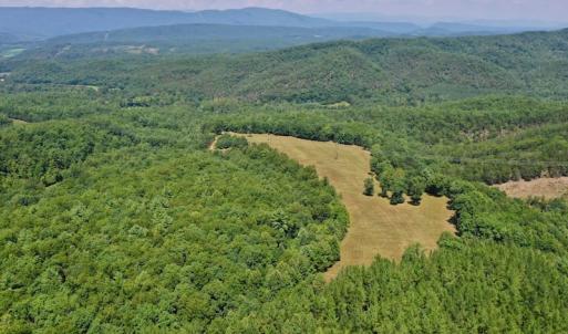 Photo of 148 Acres of Hunting and Recreational Land for Sale in Botetourt County VA!