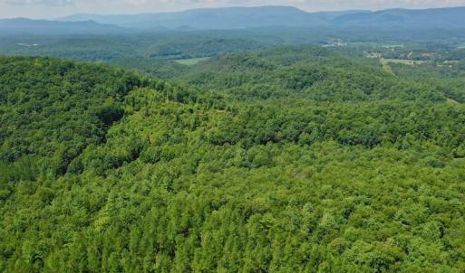 Photo of 148 Acres of Hunting and Recreational Land for Sale in Botetourt County VA!
