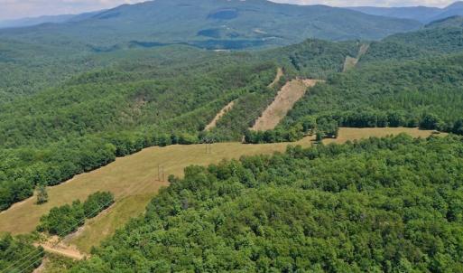 Photo of 148 Acres of Hunting and Recreational Land for Sale in Botetourt County VA!