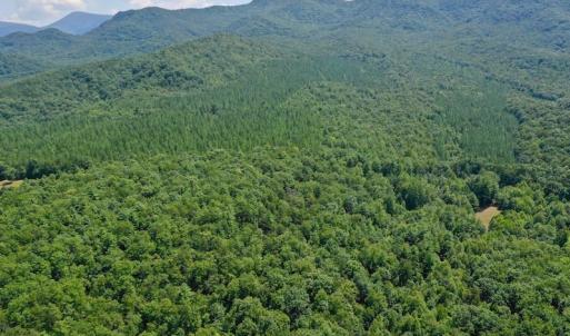 Photo of 148 Acres of Hunting and Recreational Land for Sale in Botetourt County VA!