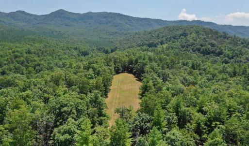 Photo of 148 Acres of Hunting and Recreational Land for Sale in Botetourt County VA!