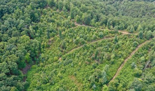 Photo of 148 Acres of Hunting and Recreational Land for Sale in Botetourt County VA!