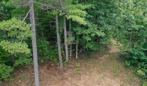 Photo of 148 Acres of Hunting and Recreational Land for Sale in Botetourt County VA!