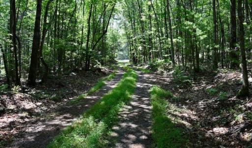 Photo of 148 Acres of Hunting and Recreational Land for Sale in Botetourt County VA!