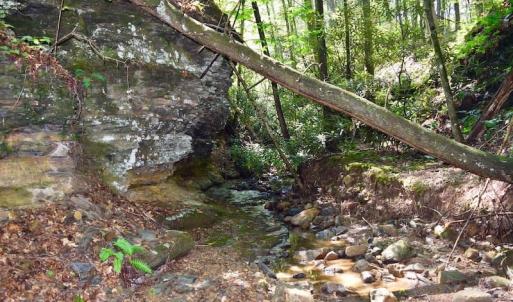 Photo of 148 Acres of Hunting and Recreational Land for Sale in Botetourt County VA!