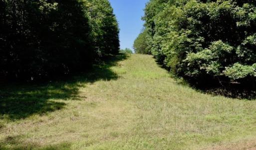 Photo of 148 Acres of Hunting and Recreational Land for Sale in Botetourt County VA!