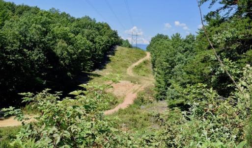 Photo of 148 Acres of Hunting and Recreational Land for Sale in Botetourt County VA!