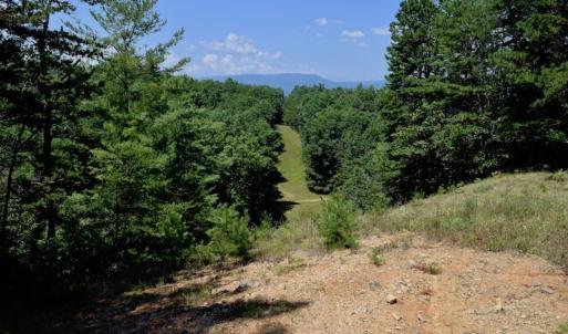 Photo of 148 Acres of Hunting and Recreational Land for Sale in Botetourt County VA!
