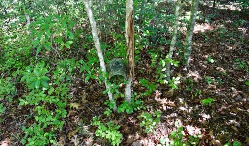 Photo of 148 Acres of Hunting and Recreational Land for Sale in Botetourt County VA!