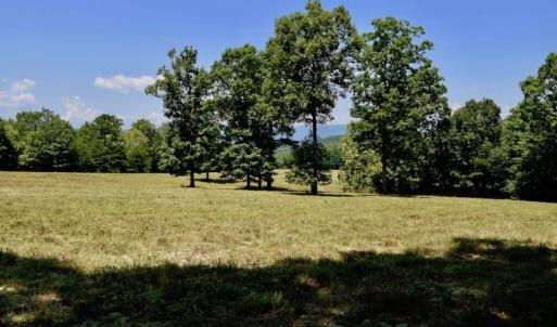 Photo of 148 Acres of Hunting and Recreational Land for Sale in Botetourt County VA!