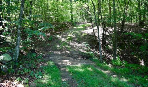 Photo of 148 Acres of Hunting and Recreational Land for Sale in Botetourt County VA!
