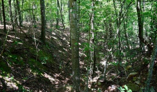 Photo of 148 Acres of Hunting and Recreational Land for Sale in Botetourt County VA!