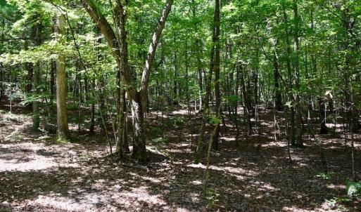 Photo of 148 Acres of Hunting and Recreational Land for Sale in Botetourt County VA!