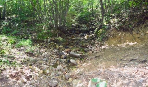 Photo of 148 Acres of Hunting and Recreational Land for Sale in Botetourt County VA!