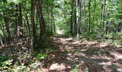 Photo of 148 Acres of Hunting and Recreational Land for Sale in Botetourt County VA!