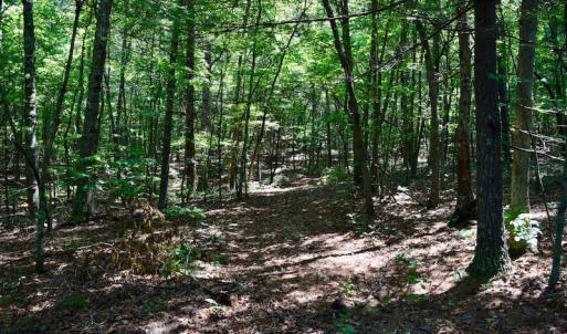 Photo of 148 Acres of Hunting and Recreational Land for Sale in Botetourt County VA!
