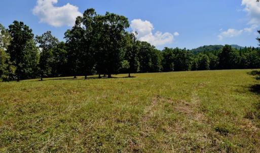 Photo of 148 Acres of Hunting and Recreational Land for Sale in Botetourt County VA!