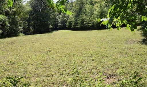 Photo of 148 Acres of Hunting and Recreational Land for Sale in Botetourt County VA!