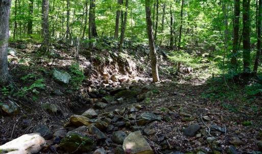 Photo of 148 Acres of Hunting and Recreational Land for Sale in Botetourt County VA!