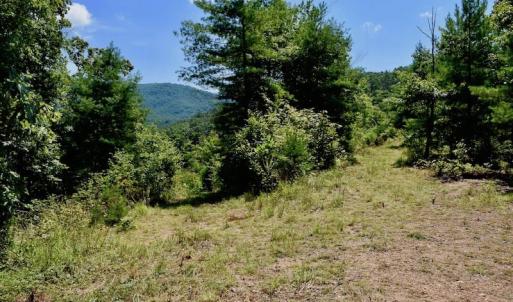 Photo of 148 Acres of Hunting and Recreational Land for Sale in Botetourt County VA!