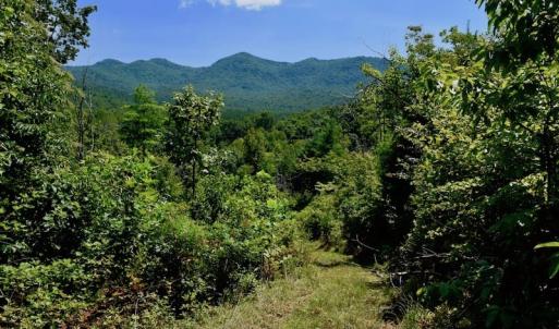Photo of 148 Acres of Hunting and Recreational Land for Sale in Botetourt County VA!