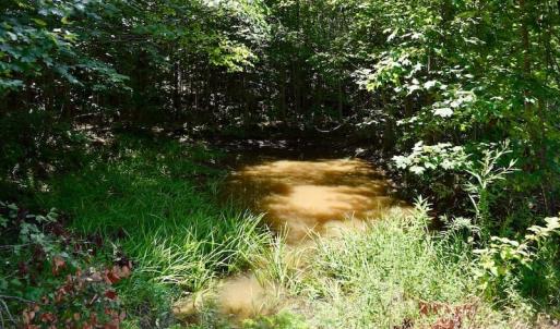 Photo of 148 Acres of Hunting and Recreational Land for Sale in Botetourt County VA!