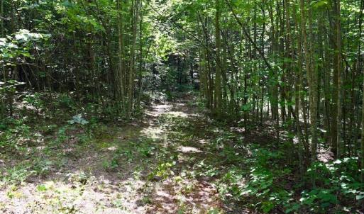 Photo of 148 Acres of Hunting and Recreational Land for Sale in Botetourt County VA!