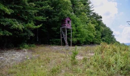Photo of 148 Acres of Hunting and Recreational Land for Sale in Botetourt County VA!
