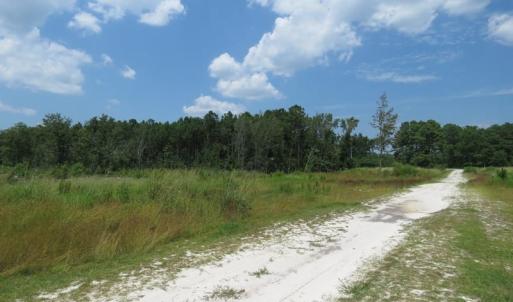 Photo of SOLD!! 7 Acres of Residential and Hunting Land For Sale in Brunswick County NC!