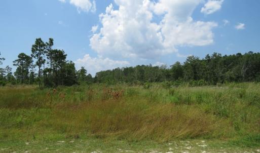 Photo of SOLD!! 7 Acres of Residential and Hunting Land For Sale in Brunswick County NC!