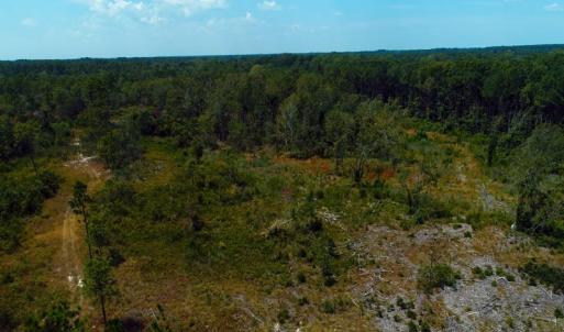 Photo of SOLD!! 7 Acres of Residential and Hunting Land For Sale in Brunswick County NC!