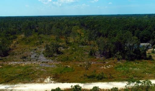 Photo of SOLD!! 7 Acres of Residential and Hunting Land For Sale in Brunswick County NC!