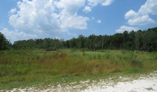 Photo of SOLD!! 7 Acres of Residential and Hunting Land For Sale in Brunswick County NC!