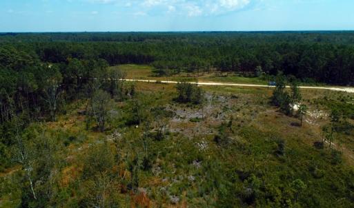 Photo of SOLD!! 7 Acres of Residential and Hunting Land For Sale in Brunswick County NC!