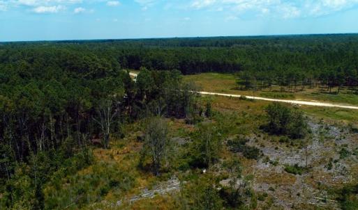 Photo of SOLD!! 7 Acres of Residential and Hunting Land For Sale in Brunswick County NC!