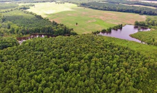 Photo of SOLD!!  83 Acres of Timber and Hunting Land For Sale in Warren County NC!