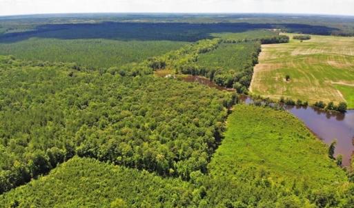 Photo of SOLD!!  83 Acres of Timber and Hunting Land For Sale in Warren County NC!