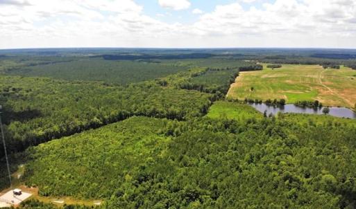 Photo of SOLD!!  83 Acres of Timber and Hunting Land For Sale in Warren County NC!