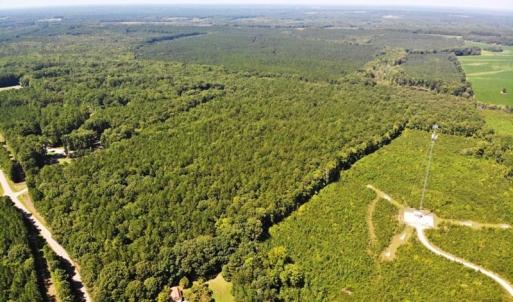 Photo of SOLD!!  83 Acres of Timber and Hunting Land For Sale in Warren County NC!