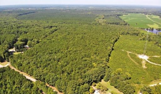 Photo of SOLD!!  83 Acres of Timber and Hunting Land For Sale in Warren County NC!