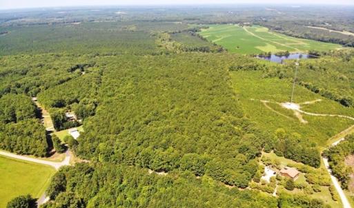 Photo of SOLD!!  83 Acres of Timber and Hunting Land For Sale in Warren County NC!