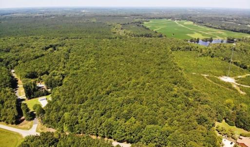 Photo of SOLD!!  83 Acres of Timber and Hunting Land For Sale in Warren County NC!