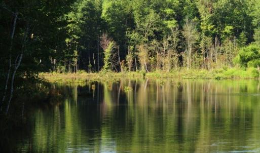 Photo of SOLD!!  83 Acres of Timber and Hunting Land For Sale in Warren County NC!
