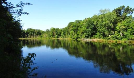 Photo of SOLD!!  83 Acres of Timber and Hunting Land For Sale in Warren County NC!