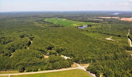 Photo of SOLD!!  83 Acres of Timber and Hunting Land For Sale in Warren County NC!