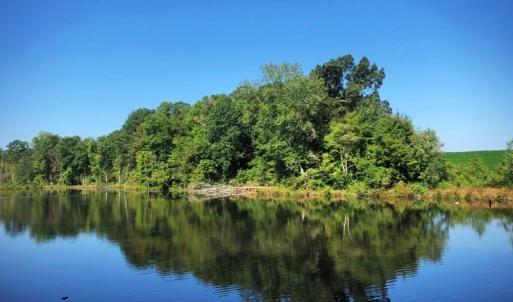 Photo of SOLD!!  83 Acres of Timber and Hunting Land For Sale in Warren County NC!