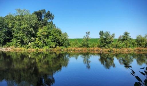Photo of SOLD!!  83 Acres of Timber and Hunting Land For Sale in Warren County NC!